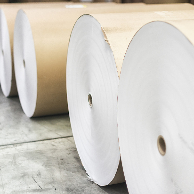 Filtrum chartaceum Rolls