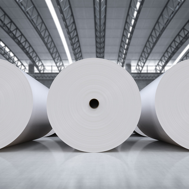 Gringo Probatur & Baking Paper Rolls